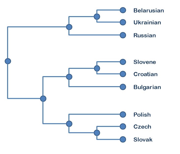 A reconstructed ancestry tree for Slavic languages